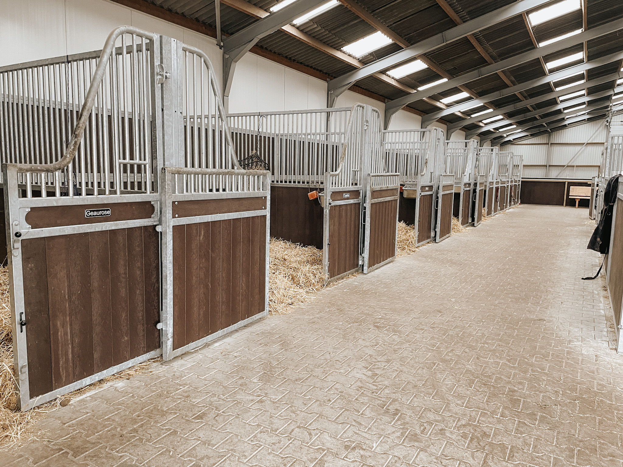 Pensionstal de Bosrand in Ellertshaar met prachtige ruime en open boxen.